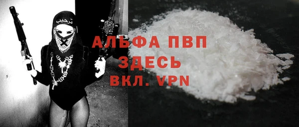spice Кемь