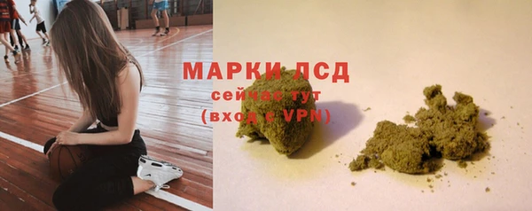 spice Кемь