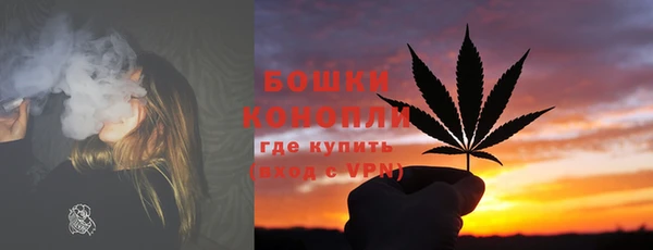 apvp Кизел