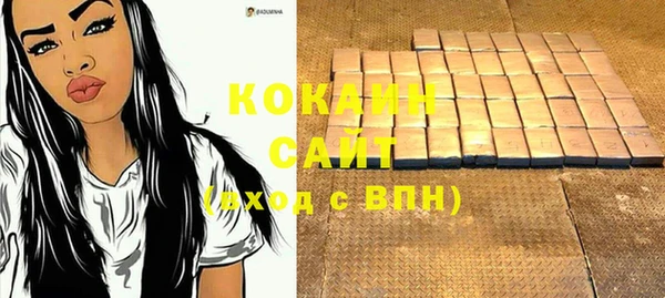 apvp Кизел