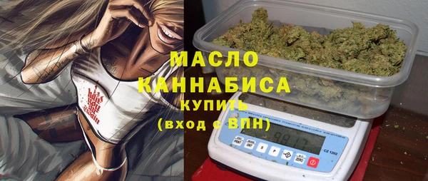 spice Кемь