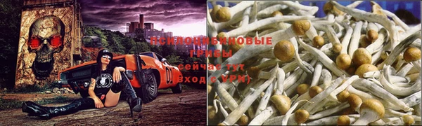 марки lsd Сосновка