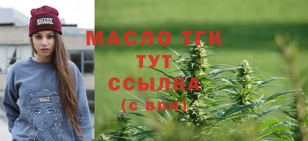 spice Кемь