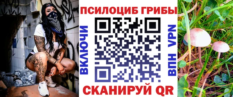 Галлюциногенные грибы MAGIC MUSHROOMS  Купить где  Заречный 